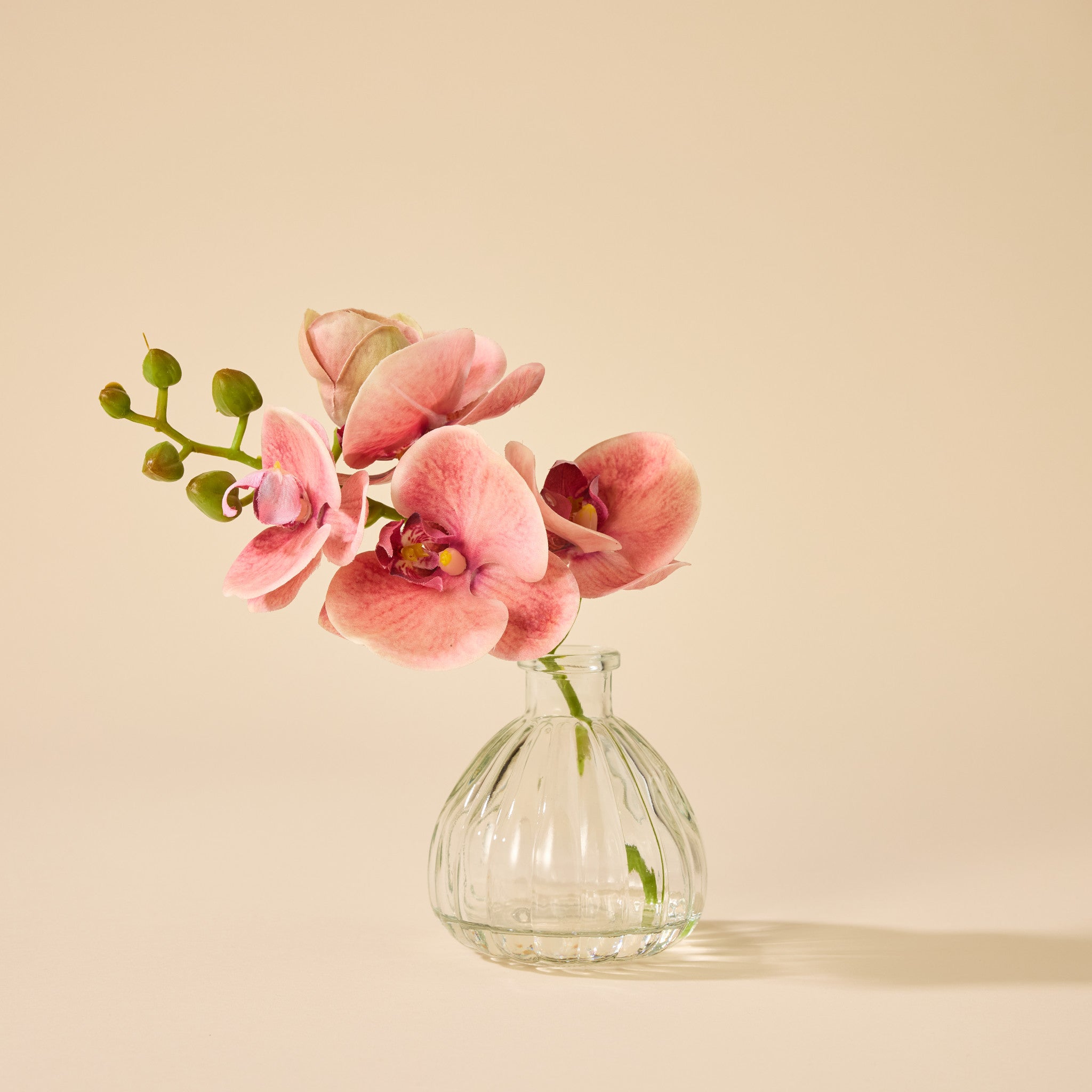 Faux Orchid Stem in Ribbed Vase | Orange - 21cm